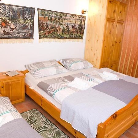 Planinca -Hisa Z Razgledom Smarje pri Jelsah Exterior foto