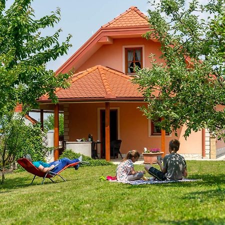 Planinca -Hisa Z Razgledom Smarje pri Jelsah Exterior foto