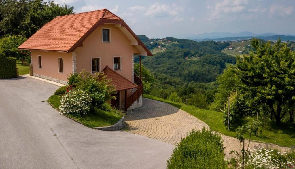 Planinca -Hisa Z Razgledom Smarje pri Jelsah Exterior foto