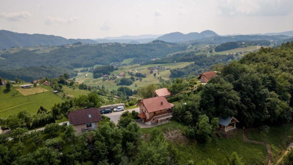 Planinca -Hisa Z Razgledom Smarje pri Jelsah Exterior foto