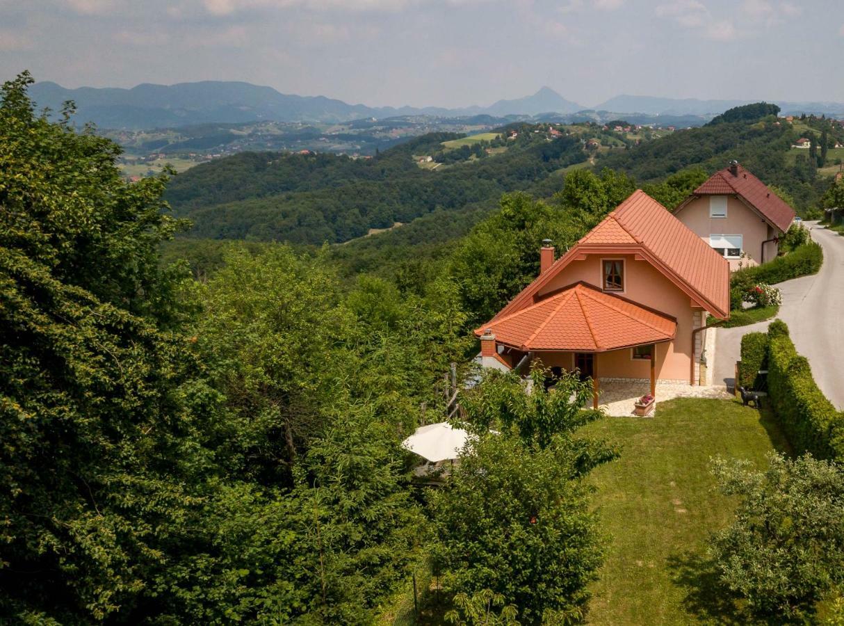 Planinca -Hisa Z Razgledom Smarje pri Jelsah Exterior foto