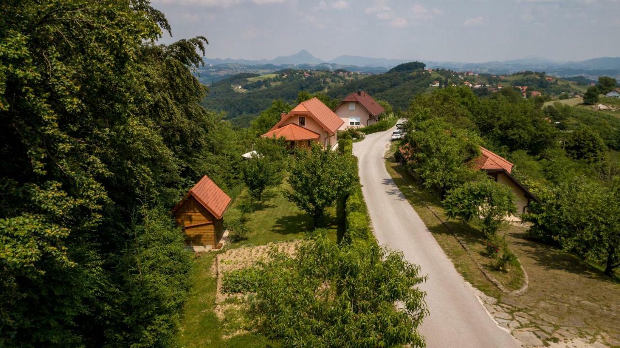Planinca -Hisa Z Razgledom Smarje pri Jelsah Exterior foto