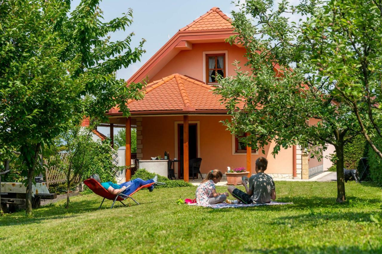 Planinca -Hisa Z Razgledom Smarje pri Jelsah Exterior foto