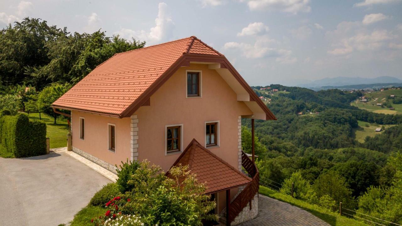 Planinca -Hisa Z Razgledom Smarje pri Jelsah Exterior foto